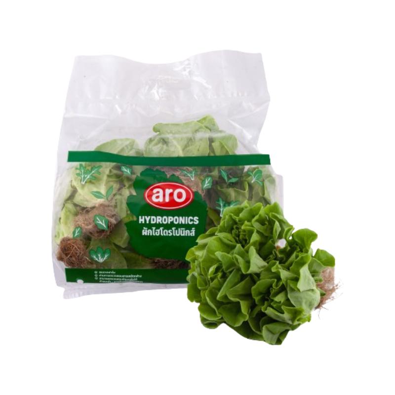 Butterhead Hydroponic pack 500 g