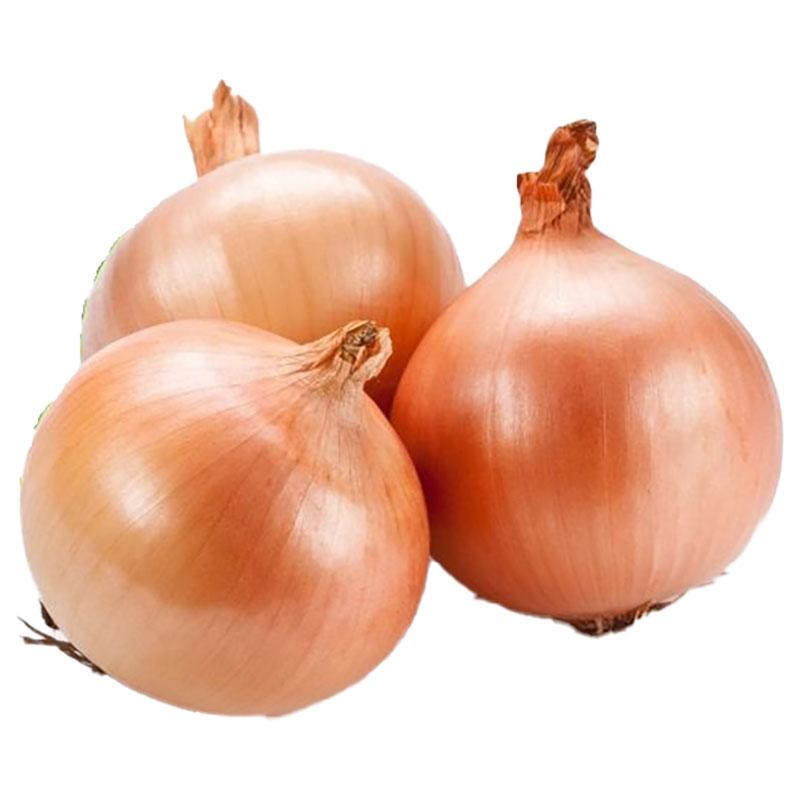 Imported Onion 1 kg