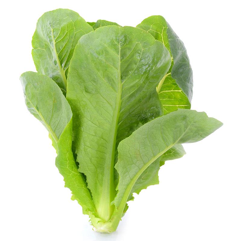 Baby Cos Lettuce 300 g