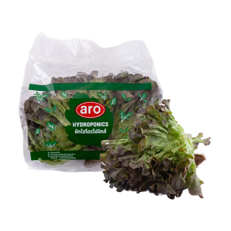 Red Oak Lettuce Hydroponics pack 500 g