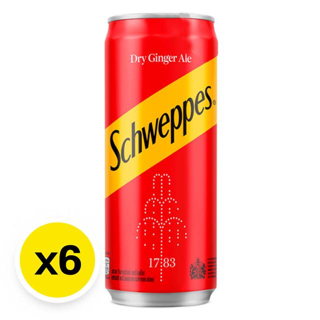 SCHWEPPES Dry Ginger Ale 330 ml x 6 | Makro PRO