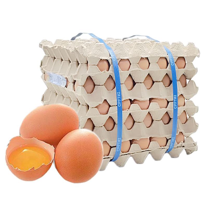 ARO Chicken Egg no.2 No Cover 30 pcs x 5
