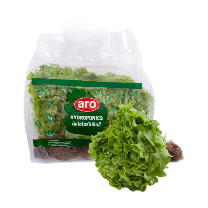 Green Oak Lettuce Hydroponics pack 500 g