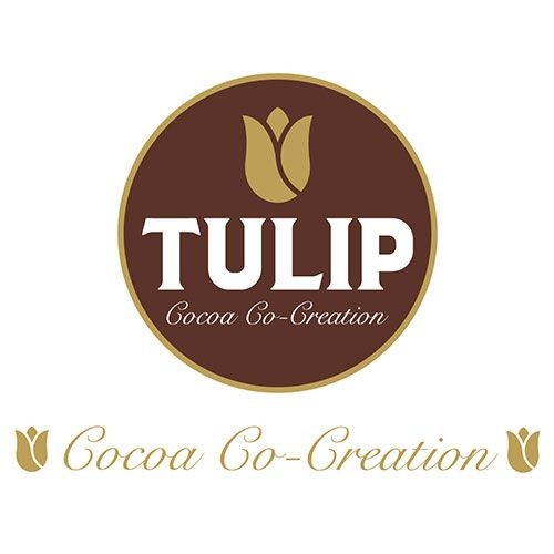 Tulip